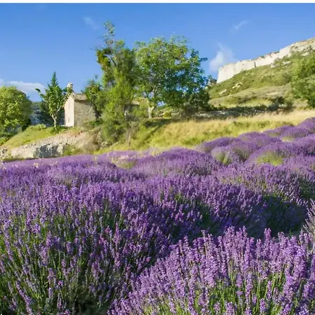 Maison A Holiday home *